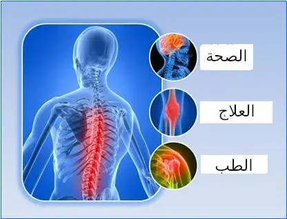 تخطيط جديد ل وورد 2010